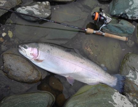 天竜川ルアーフライ専用区